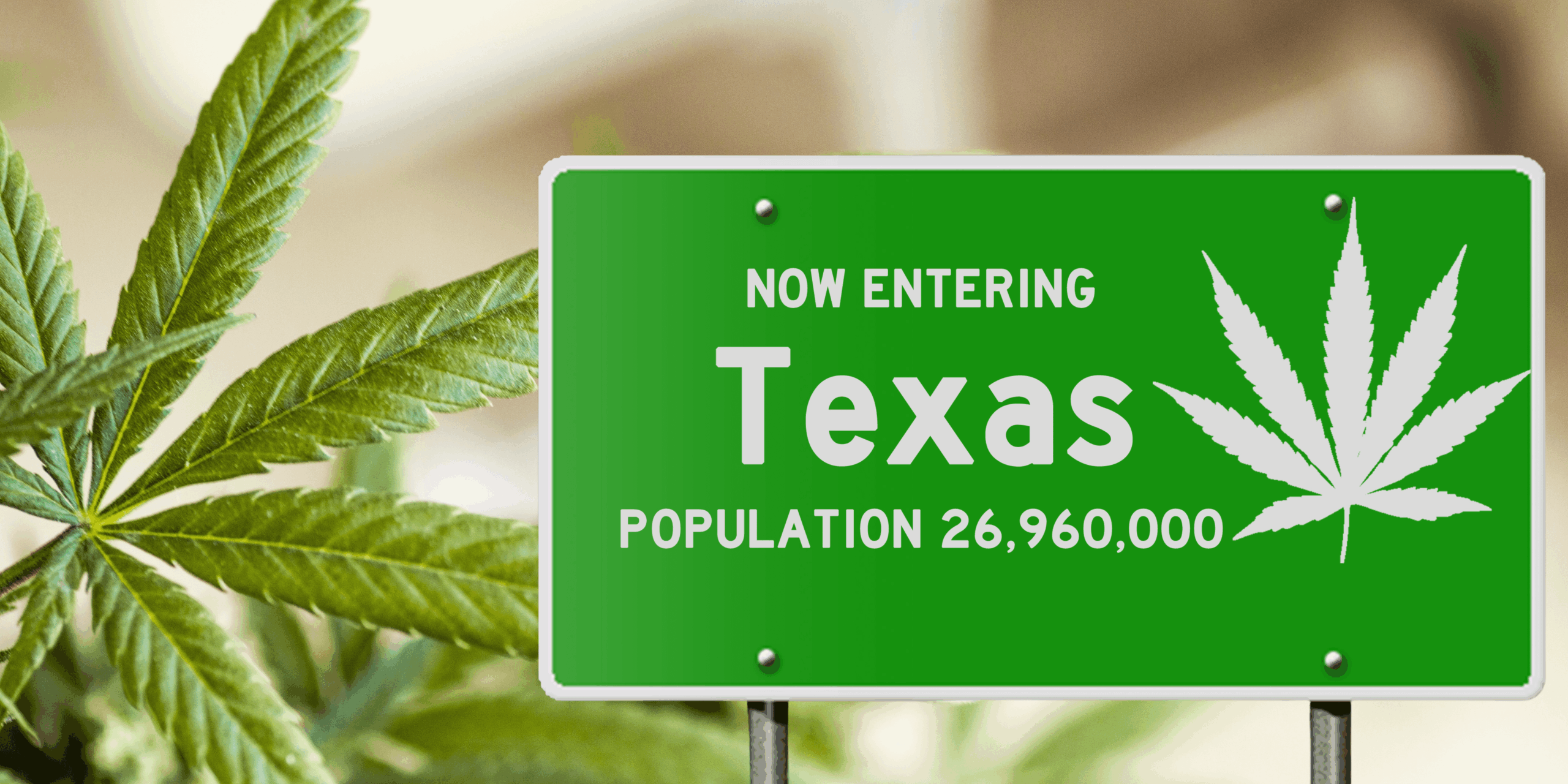 Texas-Medical-Marijuana.png