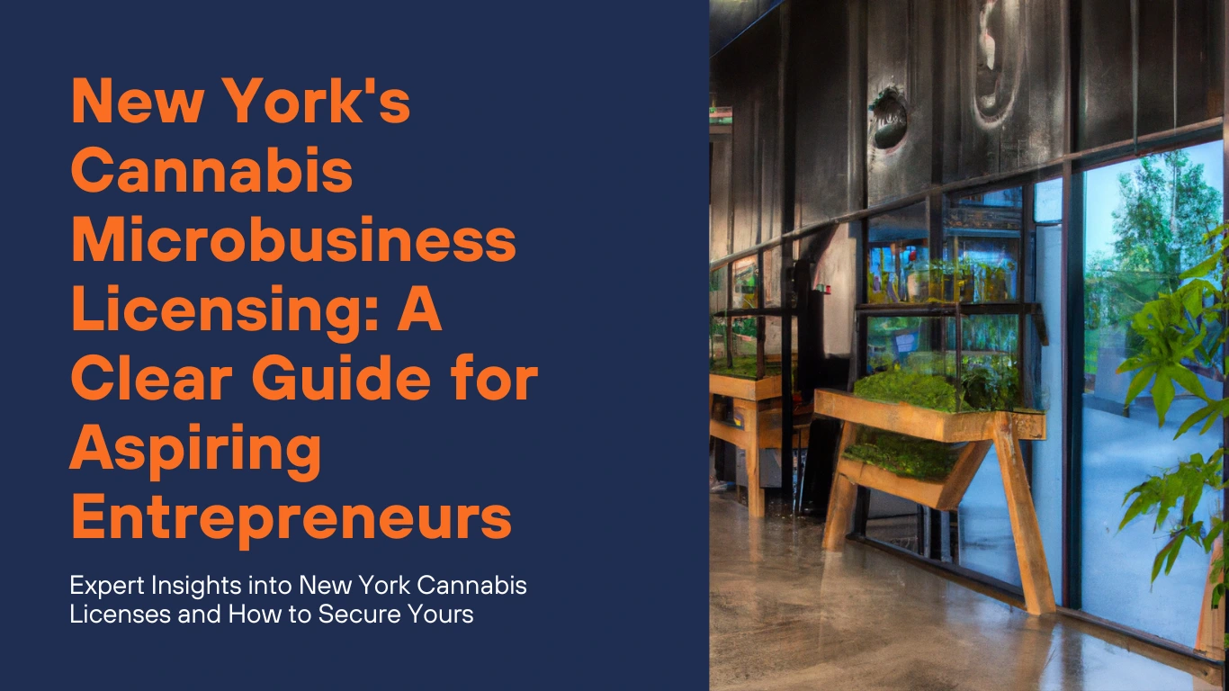 Inside-New-Yorks-Cannabis-Microbusiness.webp