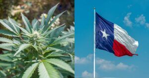 New-Adult-Use-Cannabis-Bill-Emerges-Amid-Hemp-Regulation-Debate-in-Texas-300×158.jpg
