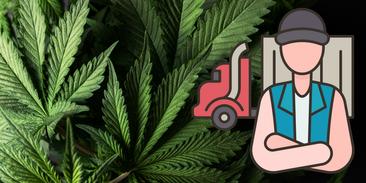 marijuana-truckdrivers-__-720×516-s.png