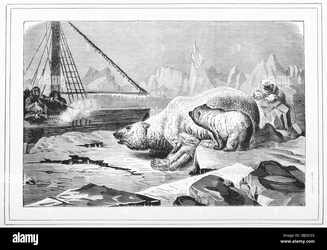 shooting-polar-bears-1880-page-125-of-quotadventures-round-the-world-with-illustrationsquot-1880-london-england-3BJ5C03.jpg
